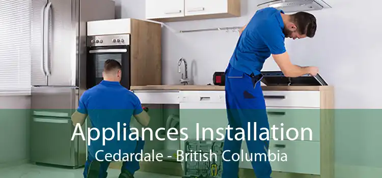 Appliances Installation Cedardale - British Columbia