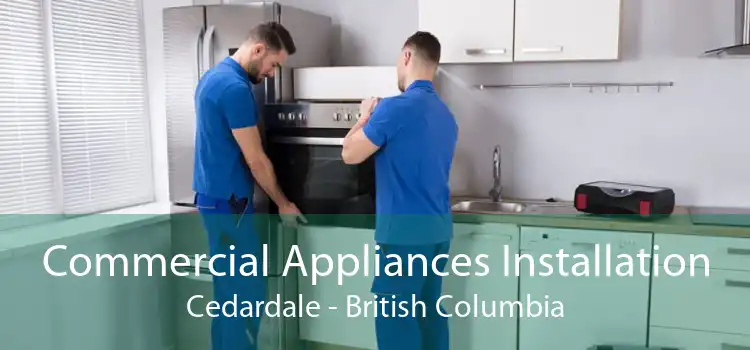 Commercial Appliances Installation Cedardale - British Columbia