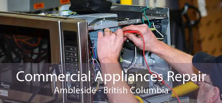 Commercial Appliances Repair Ambleside - British Columbia