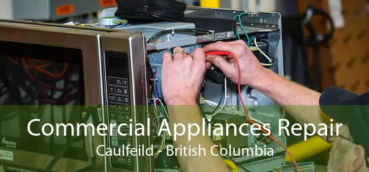 Commercial Appliances Repair Caulfeild - British Columbia