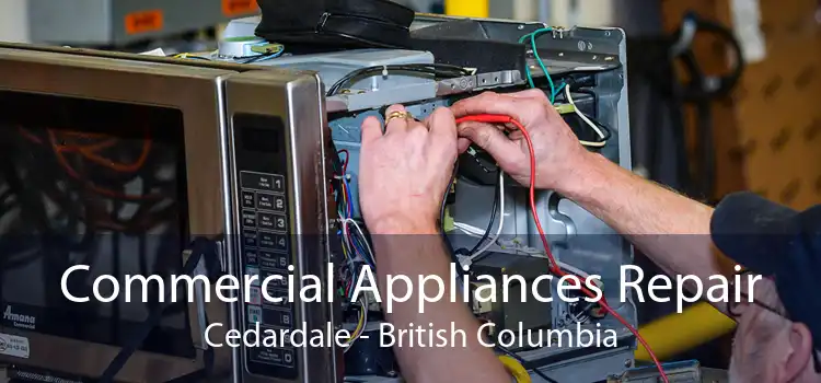 Commercial Appliances Repair Cedardale - British Columbia