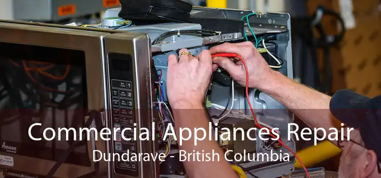 Commercial Appliances Repair Dundarave - British Columbia