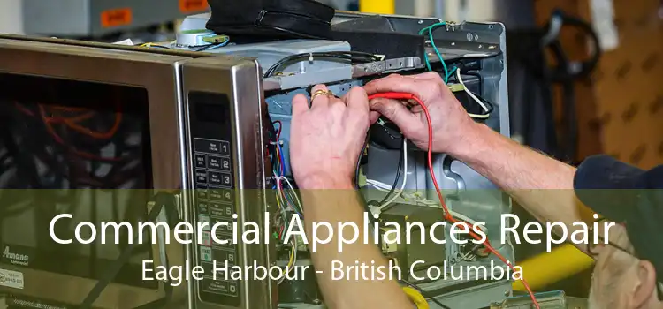 Commercial Appliances Repair Eagle Harbour - British Columbia