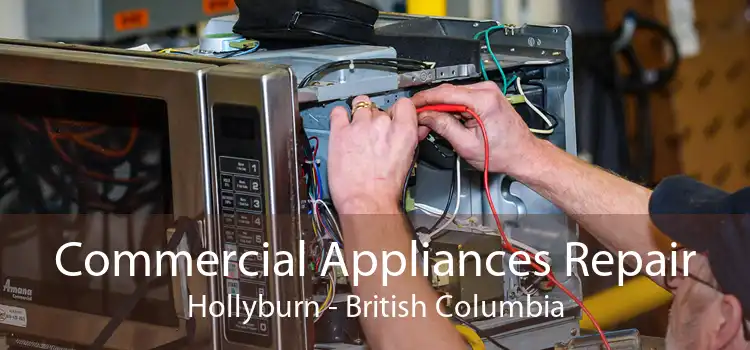 Commercial Appliances Repair Hollyburn - British Columbia