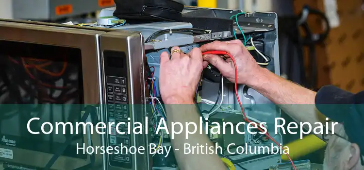 Commercial Appliances Repair Horseshoe Bay - British Columbia