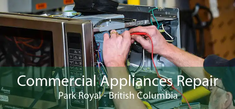 Commercial Appliances Repair Park Royal - British Columbia