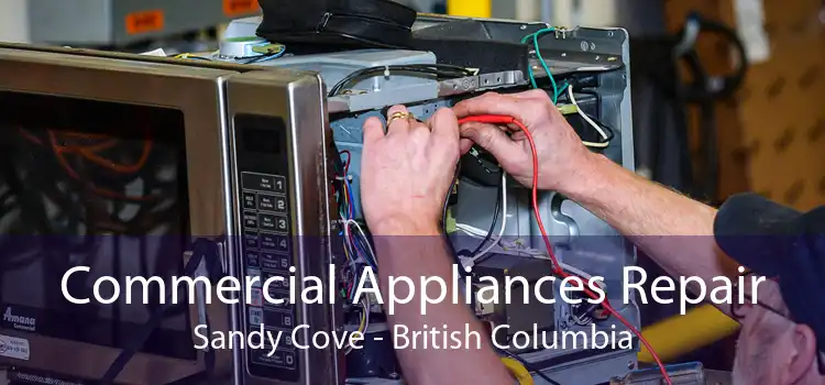 Commercial Appliances Repair Sandy Cove - British Columbia