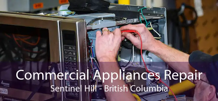 Commercial Appliances Repair Sentinel Hill - British Columbia