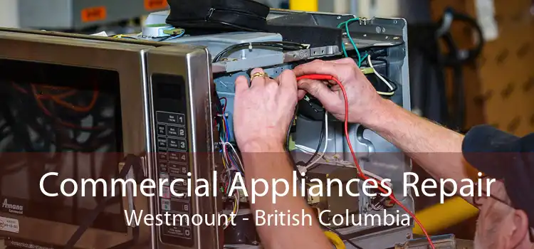 Commercial Appliances Repair Westmount - British Columbia