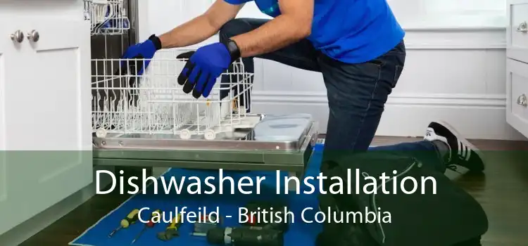 Dishwasher Installation Caulfeild - British Columbia