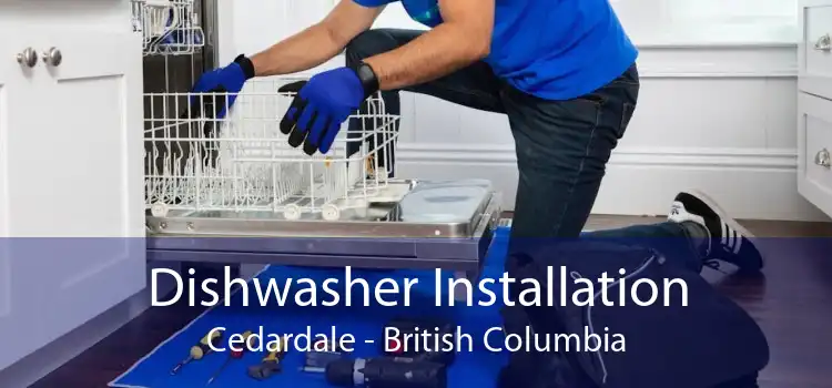 Dishwasher Installation Cedardale - British Columbia