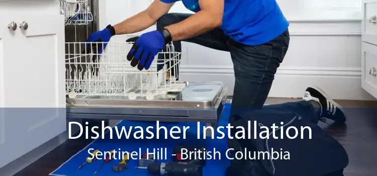 Dishwasher Installation Sentinel Hill - British Columbia
