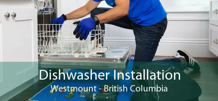 Dishwasher Installation Westmount - British Columbia