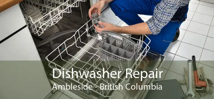 Dishwasher Repair Ambleside - British Columbia