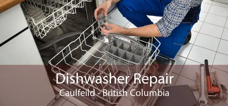 Dishwasher Repair Caulfeild - British Columbia