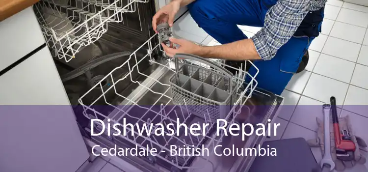 Dishwasher Repair Cedardale - British Columbia
