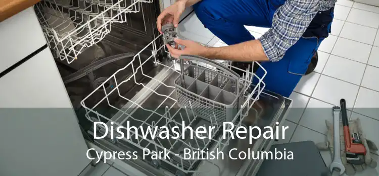 Dishwasher Repair Cypress Park - British Columbia
