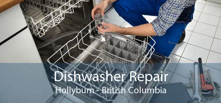 Dishwasher Repair Hollyburn - British Columbia