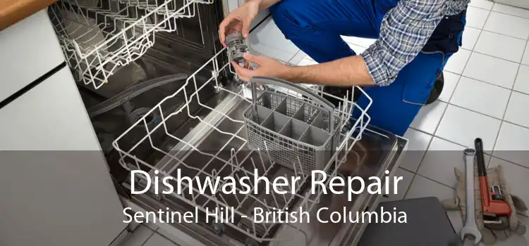 Dishwasher Repair Sentinel Hill - British Columbia