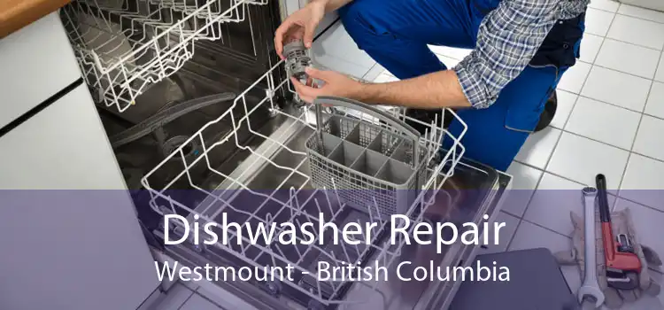 Dishwasher Repair Westmount - British Columbia