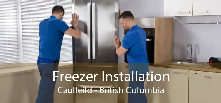 Freezer Installation Caulfeild - British Columbia