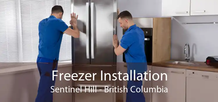 Freezer Installation Sentinel Hill - British Columbia
