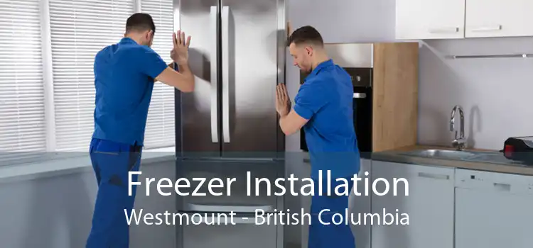 Freezer Installation Westmount - British Columbia