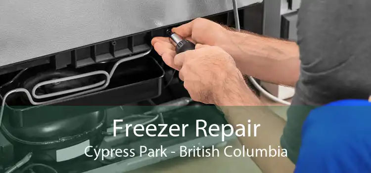 Freezer Repair Cypress Park - British Columbia