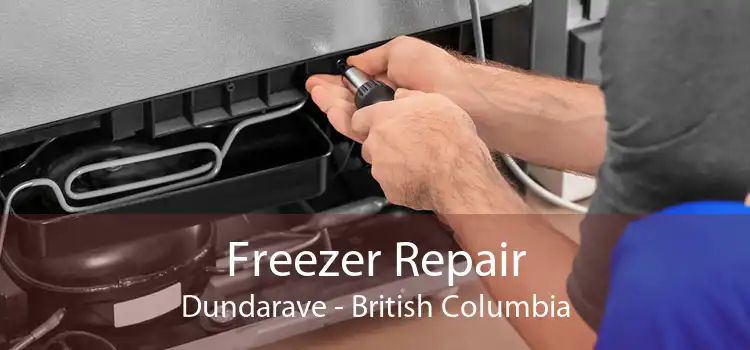 Freezer Repair Dundarave - British Columbia