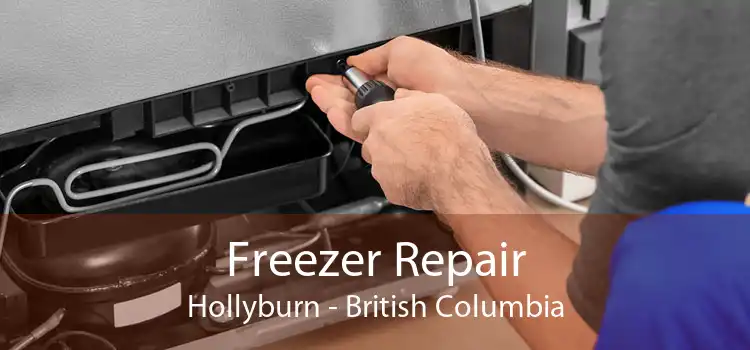 Freezer Repair Hollyburn - British Columbia