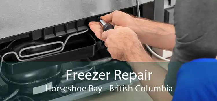 Freezer Repair Horseshoe Bay - British Columbia