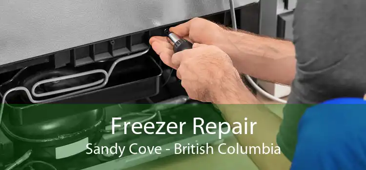 Freezer Repair Sandy Cove - British Columbia