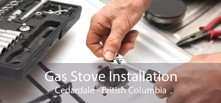 Gas Stove Installation Cedardale - British Columbia
