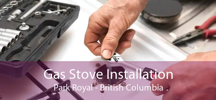 Gas Stove Installation Park Royal - British Columbia