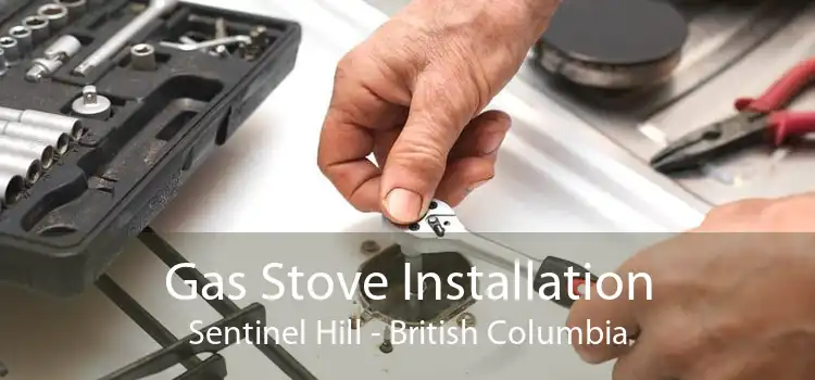 Gas Stove Installation Sentinel Hill - British Columbia