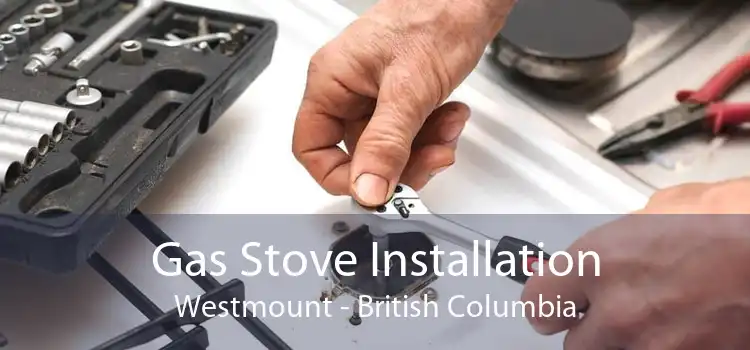 Gas Stove Installation Westmount - British Columbia