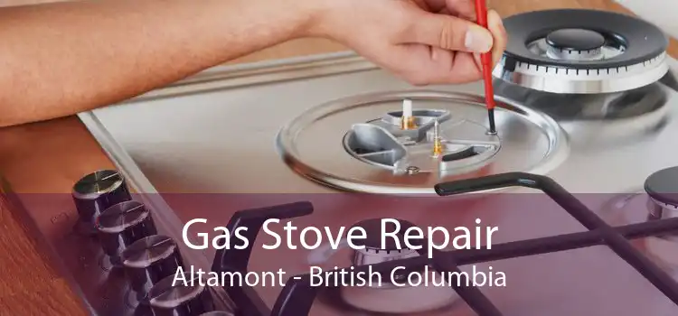 Gas Stove Repair Altamont - British Columbia