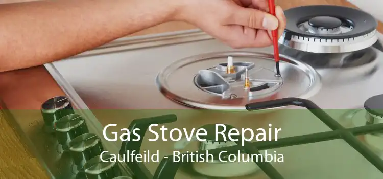 Gas Stove Repair Caulfeild - British Columbia
