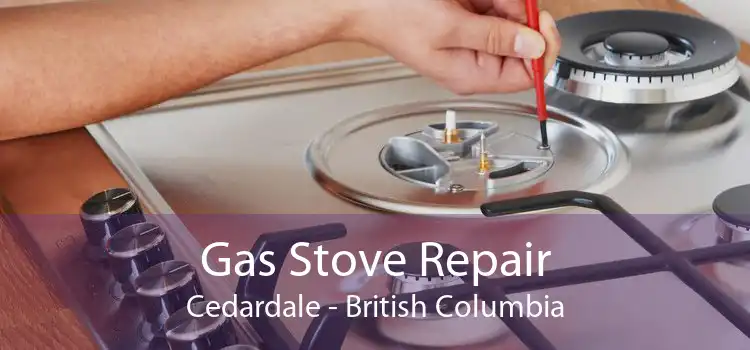 Gas Stove Repair Cedardale - British Columbia