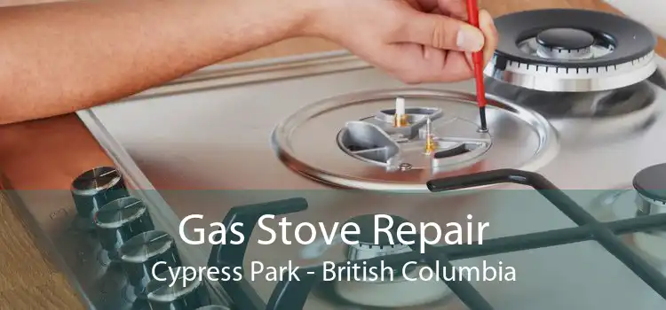 Gas Stove Repair Cypress Park - British Columbia