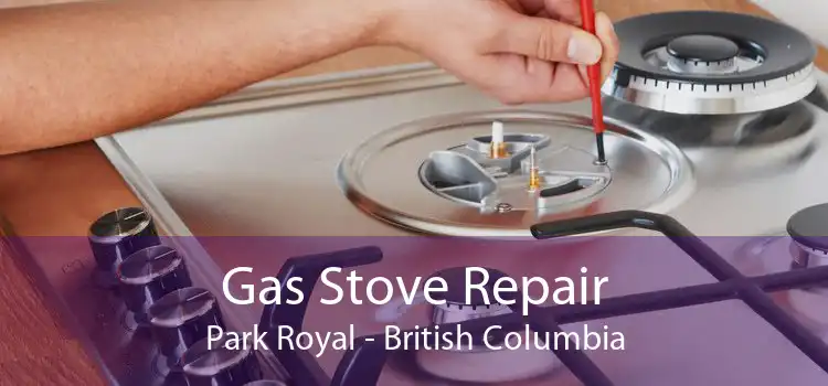 Gas Stove Repair Park Royal - British Columbia