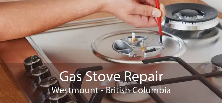Gas Stove Repair Westmount - British Columbia