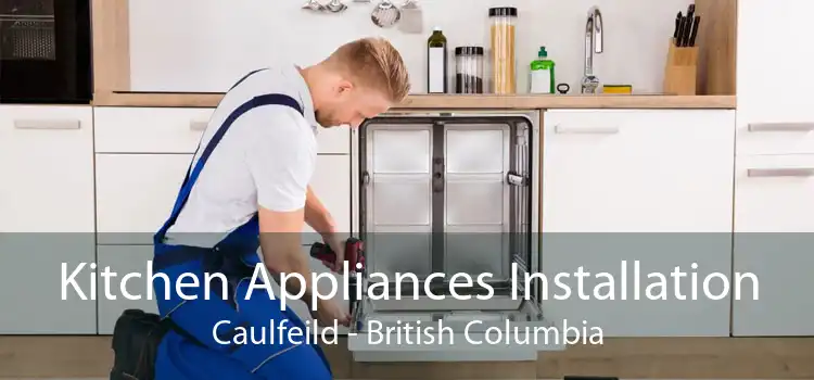 Kitchen Appliances Installation Caulfeild - British Columbia