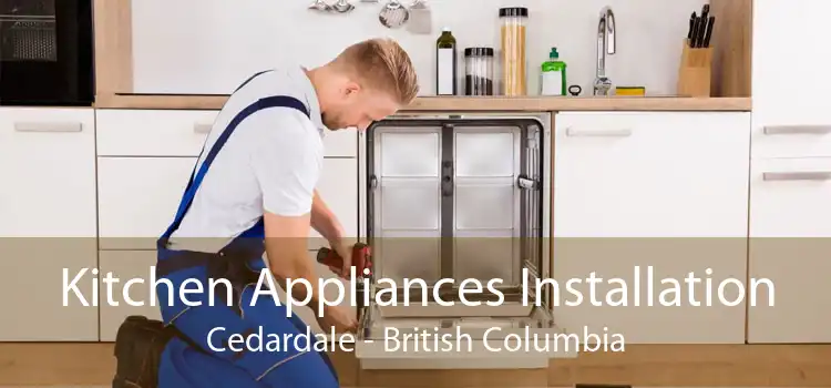 Kitchen Appliances Installation Cedardale - British Columbia