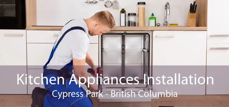 Kitchen Appliances Installation Cypress Park - British Columbia