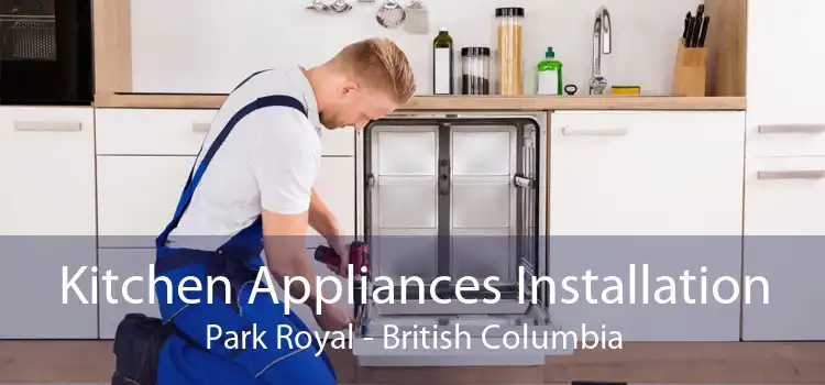 Kitchen Appliances Installation Park Royal - British Columbia
