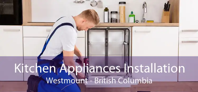Kitchen Appliances Installation Westmount - British Columbia