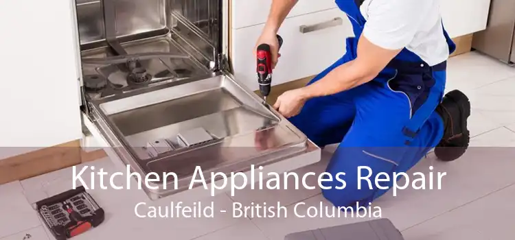 Kitchen Appliances Repair Caulfeild - British Columbia