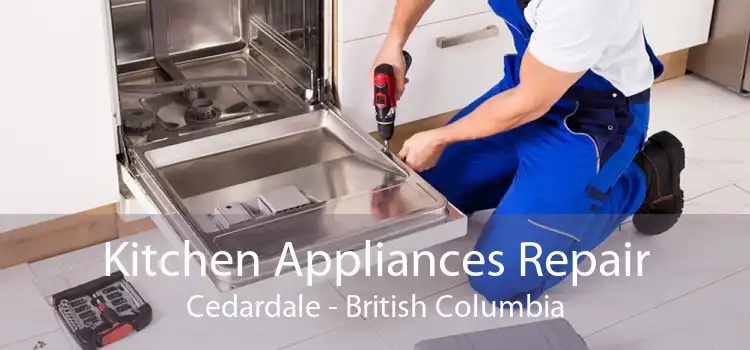 Kitchen Appliances Repair Cedardale - British Columbia