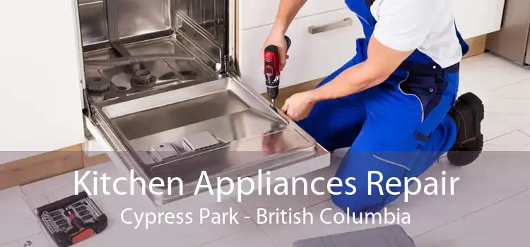 Kitchen Appliances Repair Cypress Park - British Columbia